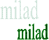 milad       